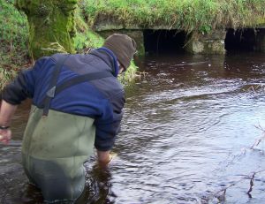 Water sampling on a mussel river (Bretagne Vivante)