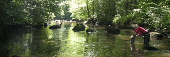 Prospections sur la Rouvre (Olivier Hesnard)