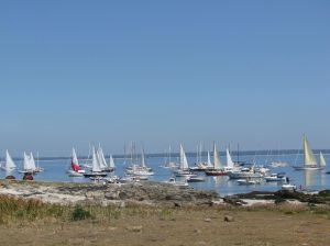 Fréquentation à l'île aux Moutons en juin 2010. Photo de Brigitte Carnot