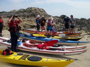 Kayakistes lors d'une sortie en baie de Morlaix